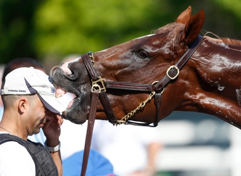 (AP Photo/Mike Groll)